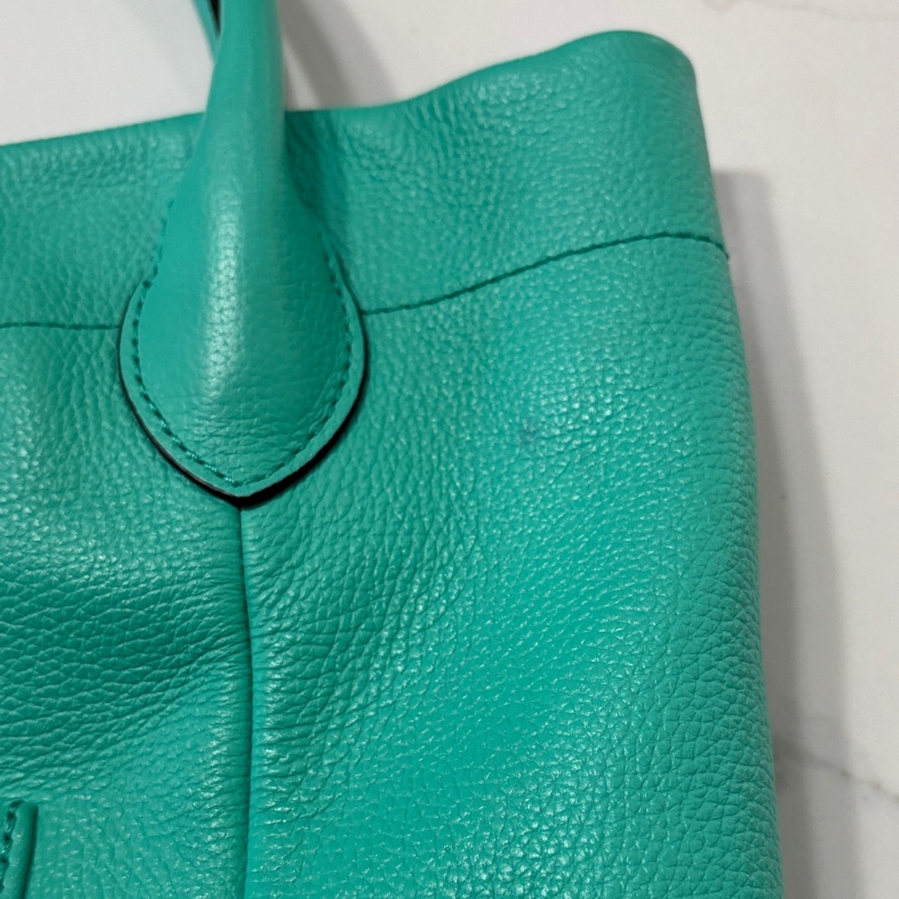 Dooney & Bourke Turquoise Leather Shoulder Bag with Gold Hardware - Picture 16 of 17